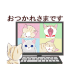 いつもの猫☆いつものあいさつ（個別スタンプ：9）