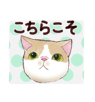 いつもの猫☆いつものあいさつ（個別スタンプ：11）