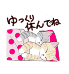 いつもの猫☆いつものあいさつ（個別スタンプ：13）