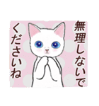 いつもの猫☆いつものあいさつ（個別スタンプ：14）