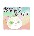 いつもの猫☆いつものあいさつ（個別スタンプ：17）