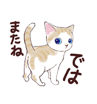 いつもの猫☆いつものあいさつ（個別スタンプ：21）