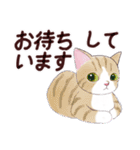 いつもの猫☆いつものあいさつ（個別スタンプ：23）