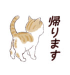 いつもの猫☆いつものあいさつ（個別スタンプ：24）