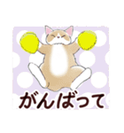 いつもの猫☆いつものあいさつ（個別スタンプ：28）