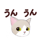 いつもの猫☆いつものあいさつ（個別スタンプ：29）