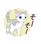 いつもの猫☆いつものあいさつ（個別スタンプ：31）