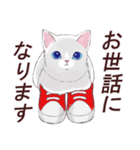 いつもの猫☆いつものあいさつ（個別スタンプ：35）