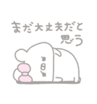 くまやん。171〜消えそう〜（個別スタンプ：27）