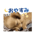 チョビ君のLINEスタンプ（個別スタンプ：3）