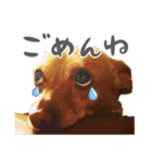 チョビ君のLINEスタンプ（個別スタンプ：5）