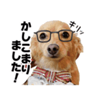 チョビ君のLINEスタンプ（個別スタンプ：6）