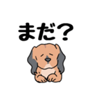 日常の愛犬大福（個別スタンプ：18）