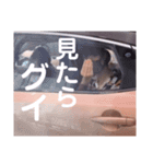 せこすけスタンプ第6弾〜究極のアイドル〜（個別スタンプ：10）
