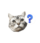 まーとはち（個別スタンプ：1）