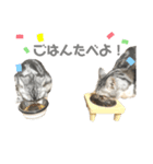 まーとはち（個別スタンプ：5）