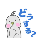 もっちりインコオカメちゃん【でか文字】（個別スタンプ：17）