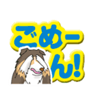 シェルティな毎日、大文字バージョン（個別スタンプ：27）