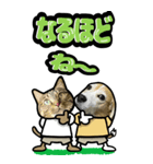 犬猫仲良しBIGスタンプ（個別スタンプ：3）