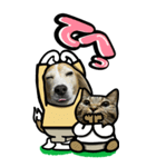 犬猫仲良しBIGスタンプ（個別スタンプ：4）