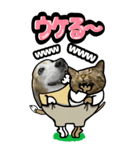 犬猫仲良しBIGスタンプ（個別スタンプ：5）