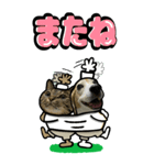 犬猫仲良しBIGスタンプ（個別スタンプ：10）