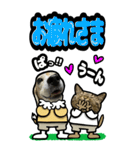 犬猫仲良しBIGスタンプ（個別スタンプ：18）