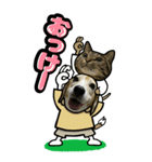 犬猫仲良しBIGスタンプ（個別スタンプ：22）