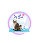 七夕家のにゃんず2（個別スタンプ：6）