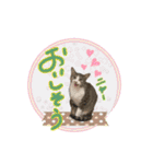七夕家のにゃんず2（個別スタンプ：8）