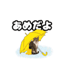 七夕家のにゃんず2（個別スタンプ：23）