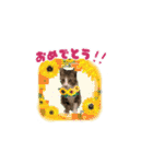 七夕家のにゃんず2（個別スタンプ：24）