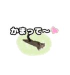 七夕家のにゃんず2（個別スタンプ：32）