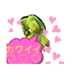 うちのブリちゃん（インコ） 3（個別スタンプ：4）