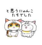 仲良しにゃんこのよく使う言葉（個別スタンプ：20）