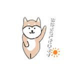 しば犬ちゃん2（個別スタンプ：7）