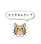 猫がいるだけ(お話①)（個別スタンプ：19）