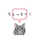 猫がいるだけ(お話①)（個別スタンプ：29）