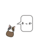 猫がいるだけ(お話①)（個別スタンプ：35）