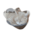 ねこたんねこまんスタンプ（個別スタンプ：4）