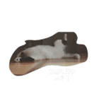 ねこたんねこまんスタンプ（個別スタンプ：23）