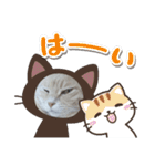 ねこたんねこまんスタンプ（個別スタンプ：39）