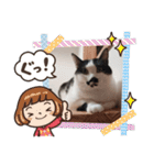ねこたんねこまんスタンプ（個別スタンプ：40）