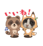 ふだんづかいのラグドールのラムちゃん5（個別スタンプ：19）