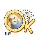 わたしむぎちゃん（個別スタンプ：1）