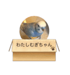 わたしむぎちゃん（個別スタンプ：2）