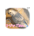 わたしむぎちゃん（個別スタンプ：3）