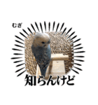 わたしむぎちゃん（個別スタンプ：7）