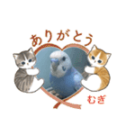 わたしむぎちゃん（個別スタンプ：9）