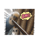 わたしむぎちゃん（個別スタンプ：10）